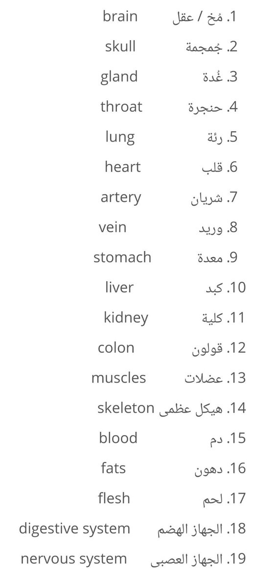 اعضاء الجسم بالانجليزي مع النطق