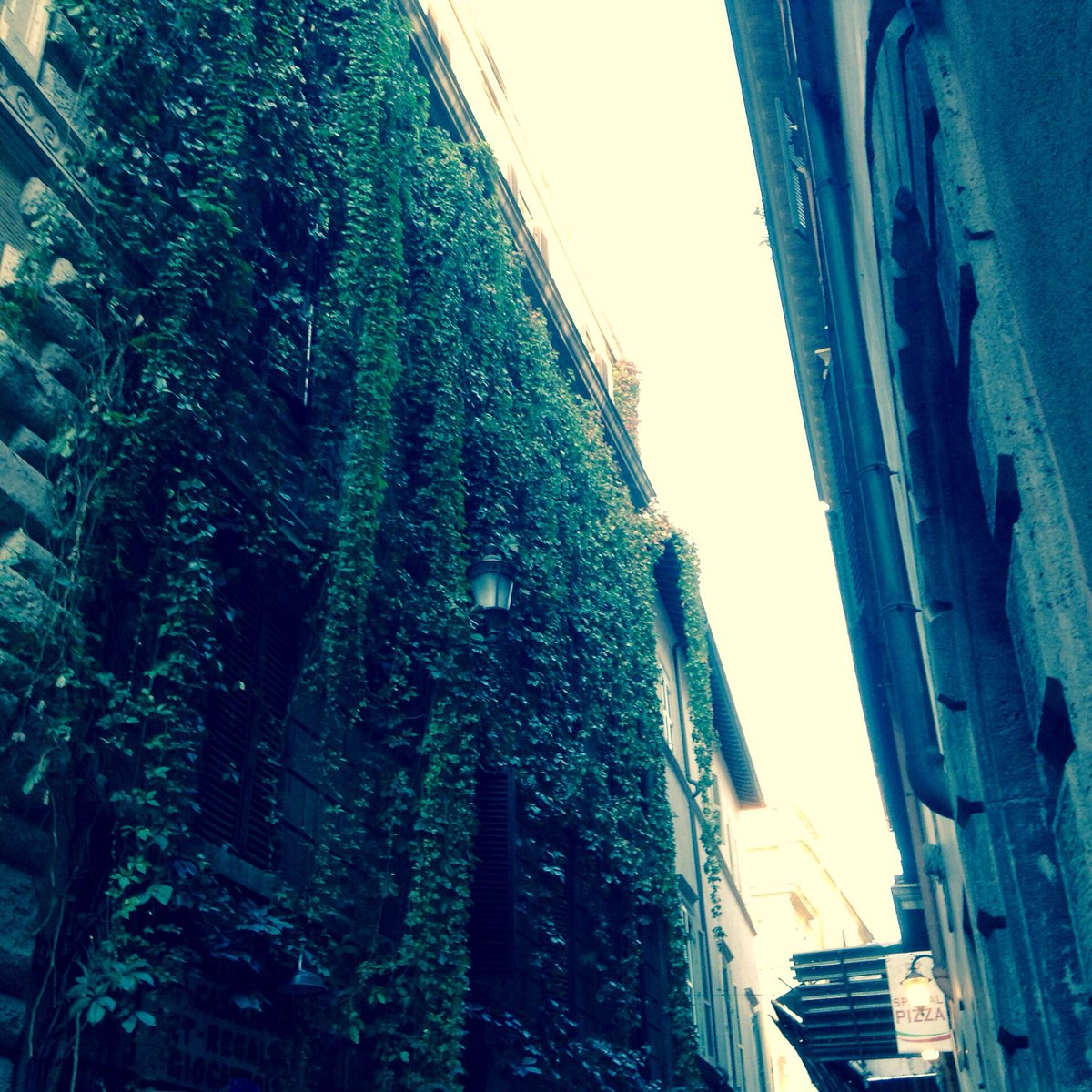 #RomeIsUs #RomeisGreen
Via delle COPPELLE (Palazzo Ist. Luigi Sturzo)

-ora-