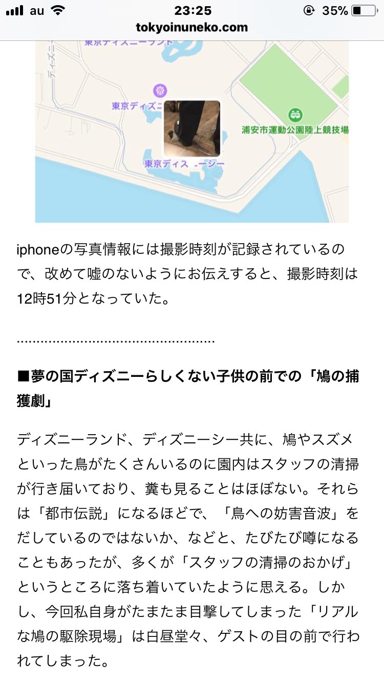 りあ 革手して網からの両手で抱えて お店には入らないでハトさんーみなさんお邪魔しましたー て出て行けば夢の国だったのにね てかドア開けとくからでしょ 鳩 鳩駆除 ボルト ランチ ディズニー ディズニーシー