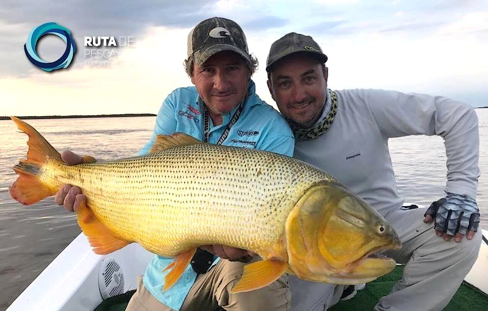 RutadePesca's tweet photo. Reserva tu lugar, veni a #LaPaz, #EntreRios | Bus + Pesca Embarcada c/carnada + Desayuno y Almuerzo + Alojamiento > https://t.co/cQ47zNql1l https://t.co/xl63evWbRH