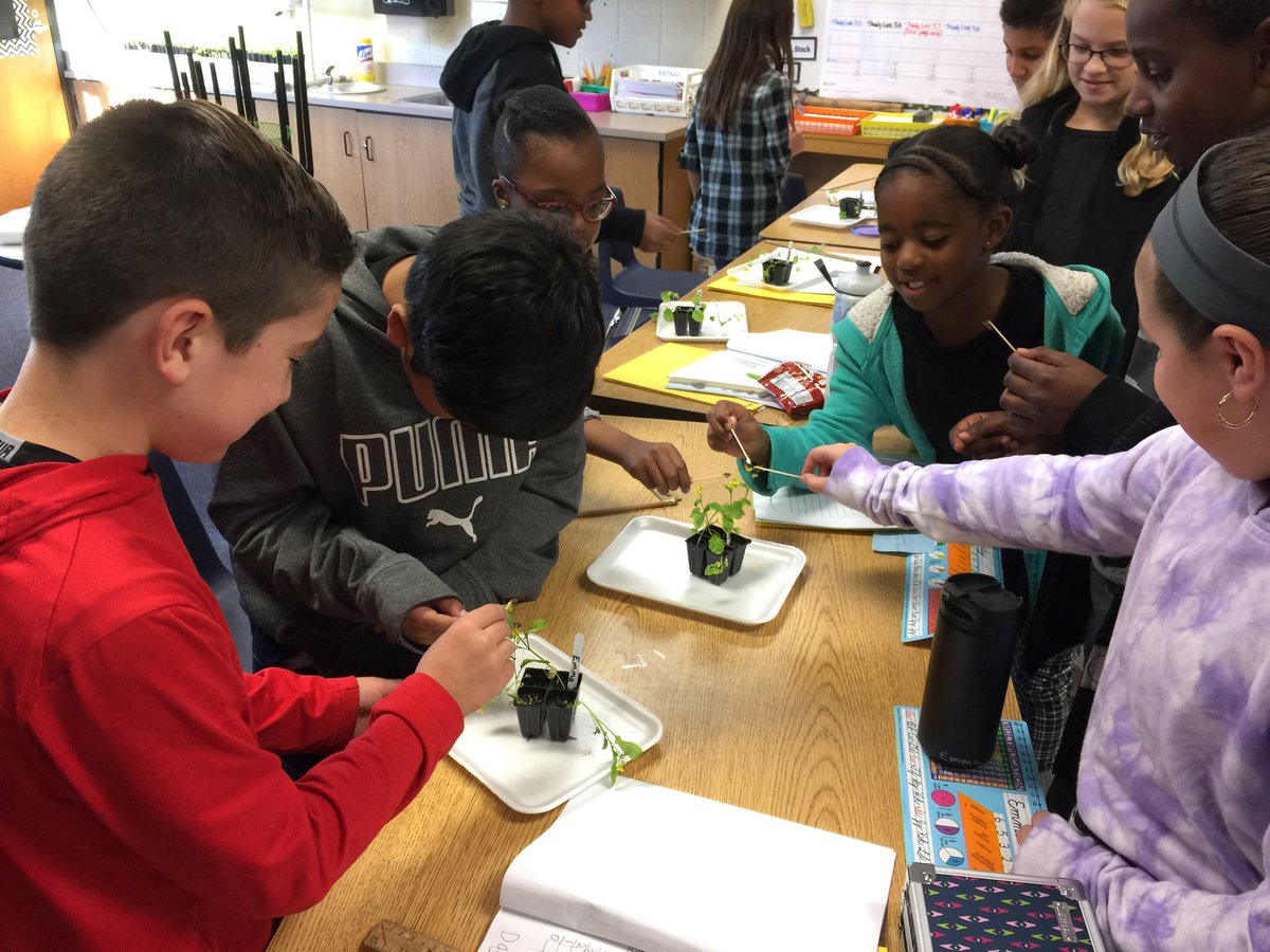 Hoben Elementary tweet media