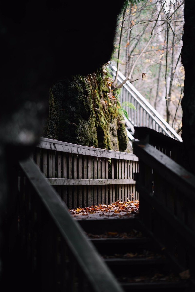 banhanthony's tweet photo. Looking for a place to check out Fall? Visit the Mono Cliffs! #DiscoverON 🍂 https://t.co/Ss3ROiTCjU