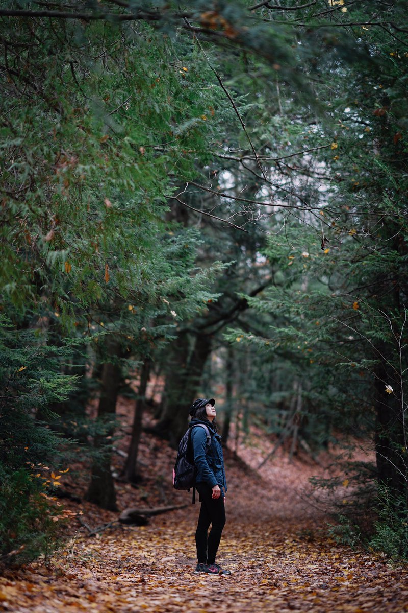 banhanthony's tweet photo. Looking for a place to check out Fall? Visit the Mono Cliffs! #DiscoverON 🍂 https://t.co/Ss3ROiTCjU