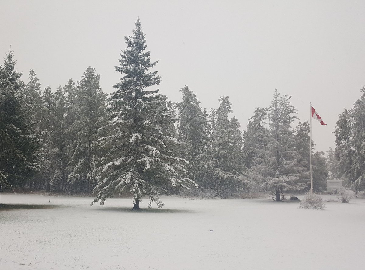 IttyBittyBrit25's tweet photo. First snowfall of the year!!! I hope it stays. 😄❄ #snowmakesmehappy https://t.co/e0t9vNRhvQ