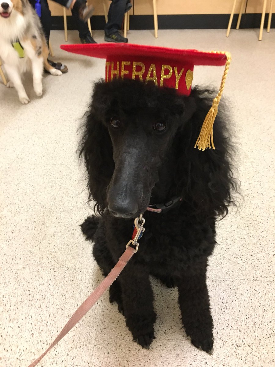 Congratulations to Sally and her mom after passing their TDI Therapy Dog test! #petsmarttraining <a href="/Ssmiley231/">Shannon Garibaldi</a>