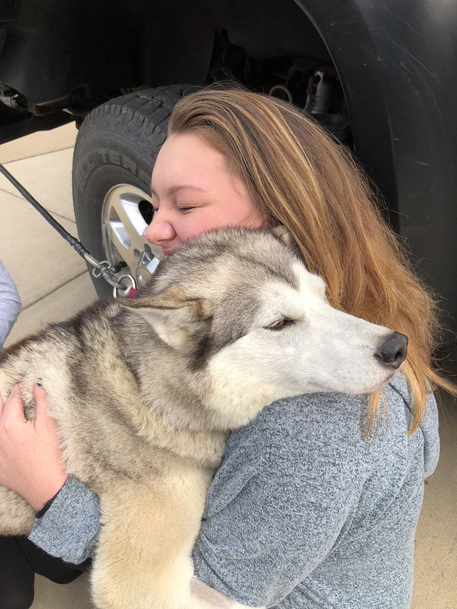 STEMnaut's tweet photo. Pure joy! We need to recreate this in our classes! Kids love dogs! @BWSDHarrisonMS #CalloftheWild #IditarodDogs #BestinSnow https://t.co/g3MumxtiWK