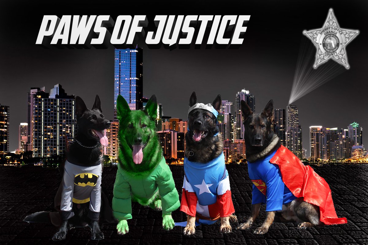 OrangeCoSheriff's tweet photo. Our K9s are getting ready for #Halloween2017. Here's #PawsforJustice in Superhero costumes with a photoshopped Hulk. #K9 @GoodNewsCops https://t.co/HQQio7arIA