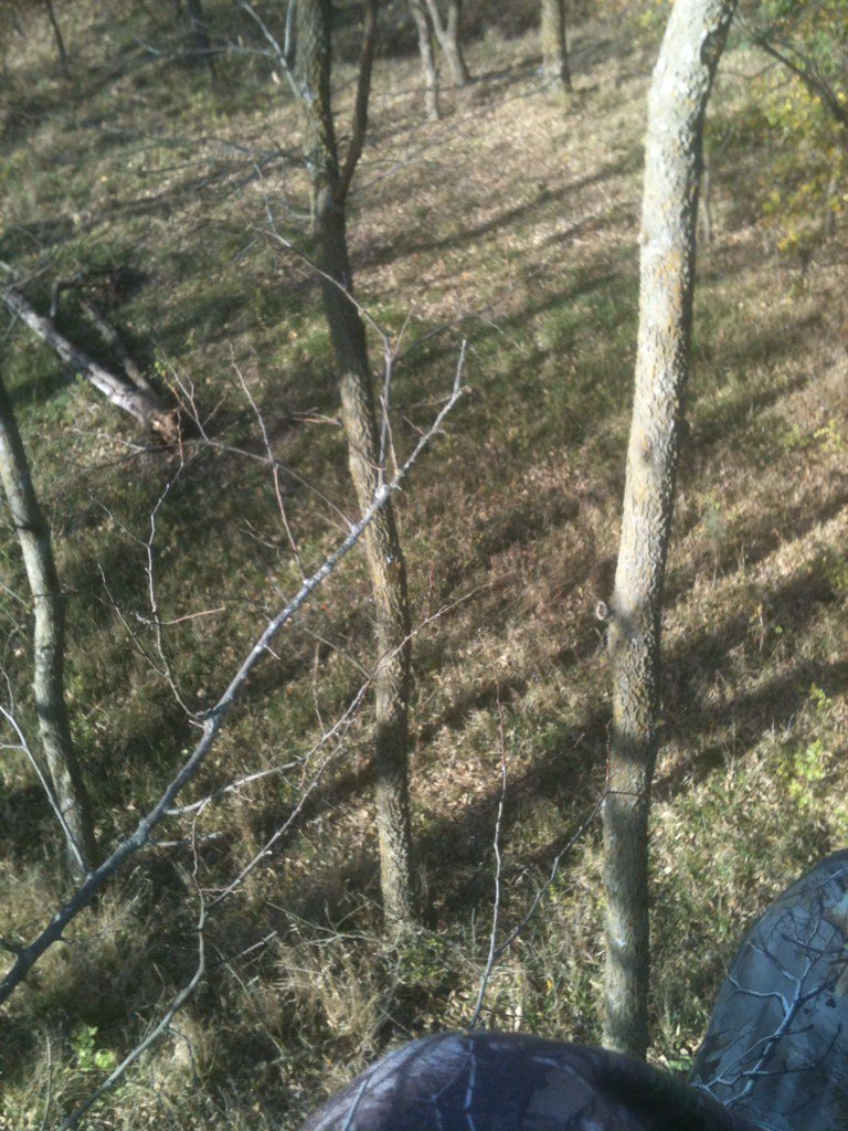 RUSSHOWARD21's tweet photo. What's wrong with this photo?  No damn deer in it. https://t.co/0EsHTa6u2y