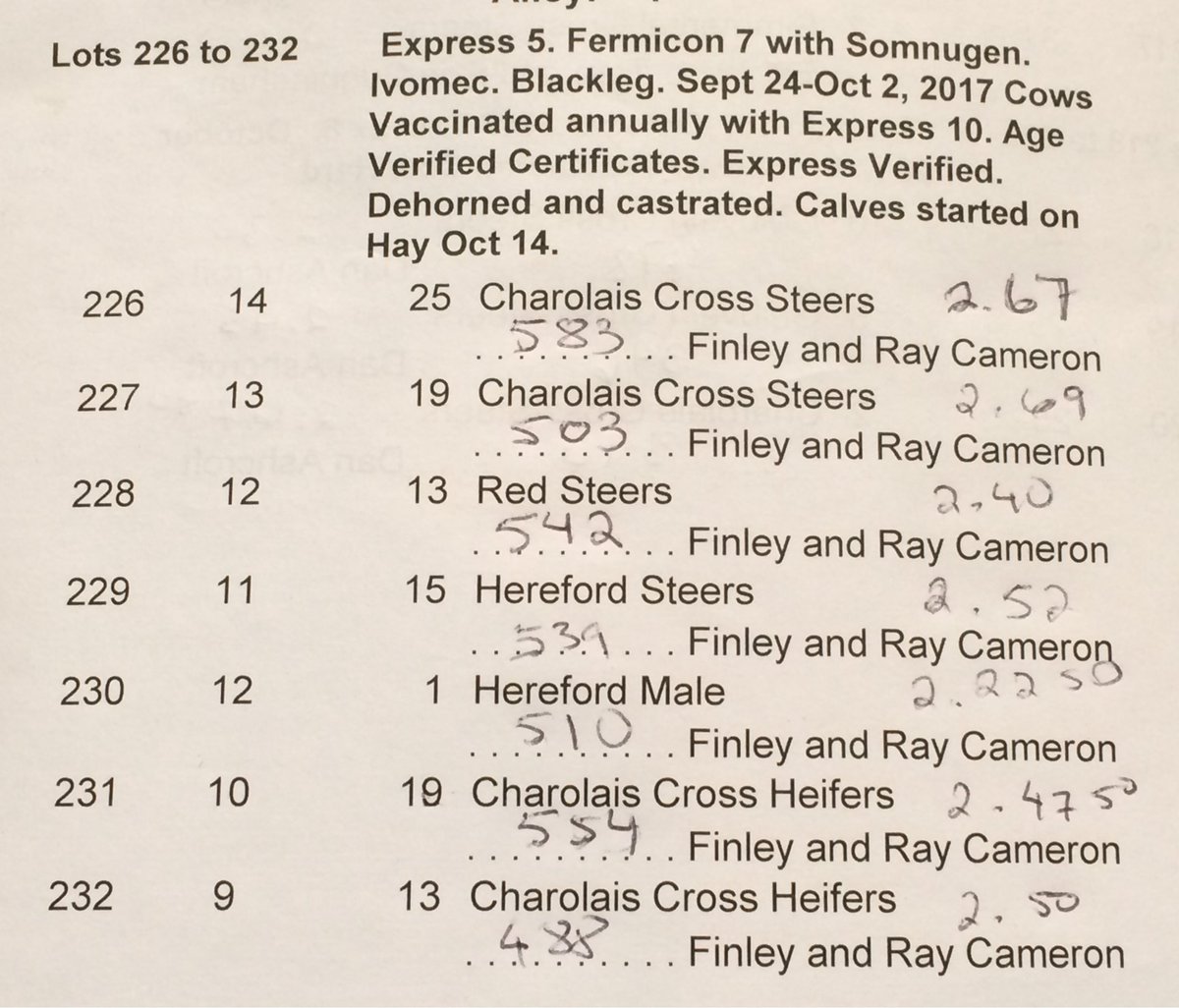 NatNewby1's tweet photo. #ExpressVerified #PreventionWorks #greybrucelivestockcoop calf sale https://t.co/L3PMSKmlci