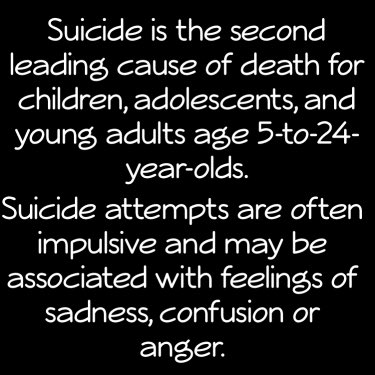 GRwRachelle's tweet photo. Know what you can do to help prevent child suicide? #WhenChildrenGrieve is your guide. Class begins 09Nov17 at 530pm. https://t.co/CDVBsupDuy