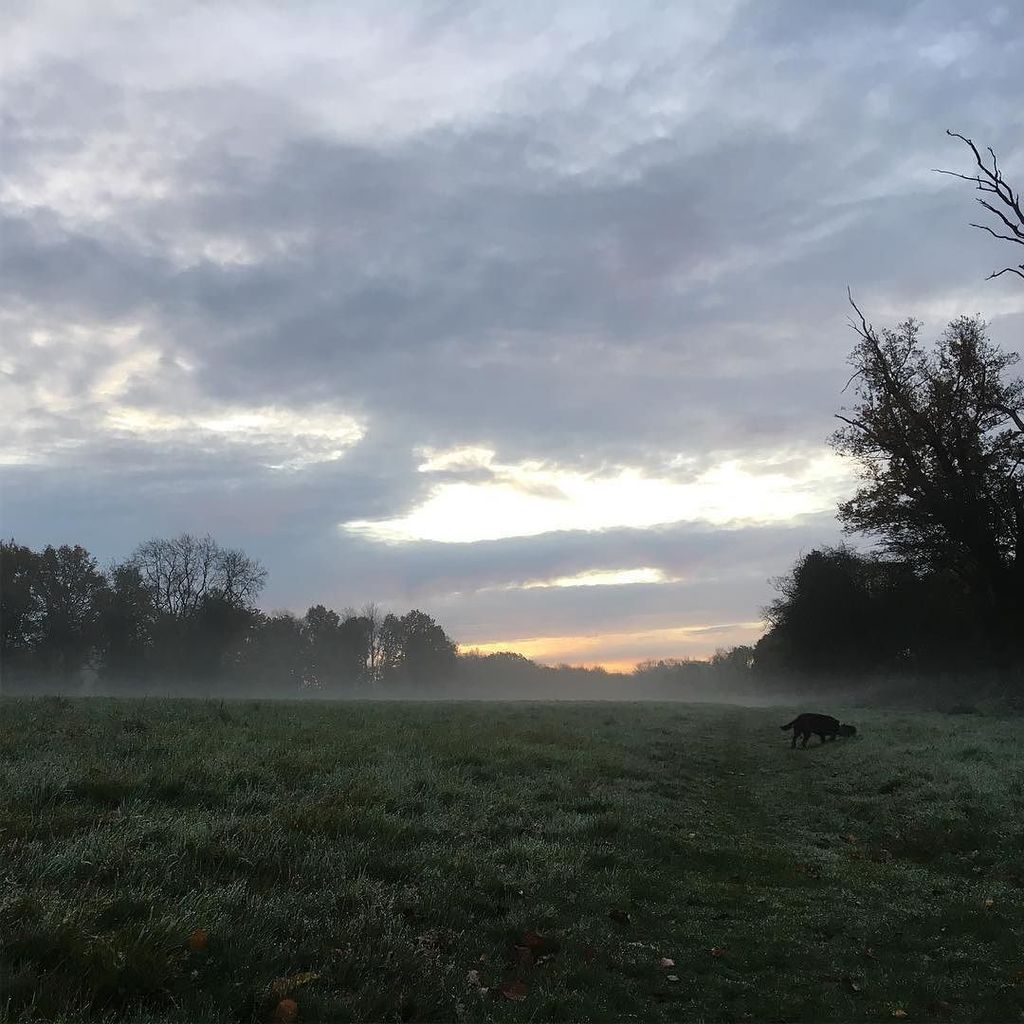 BitesizedBerko's tweet photo. After the #sunset The beautiful #sunrise. #nature #chilterns #littlegaddesden #berkhamsted https://t.co/I7FqbYgWqm https://t.co/jrXZvSwIym