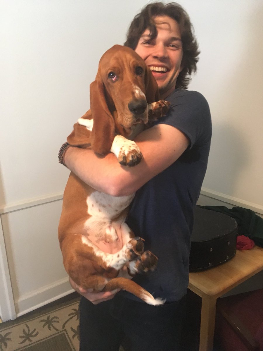 GtheHugoT's tweet photo. #PredsPup Banjo the basset hound for press pup https://t.co/VmOt6O34bX