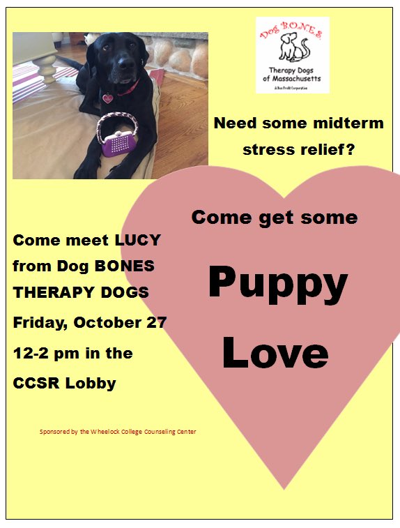 grahamksc's tweet photo. Need some stress relief? @WheelockCollege students stop by and visit with Lucy tomorrow for a little pet therapy. https://t.co/7uUCARC8DU