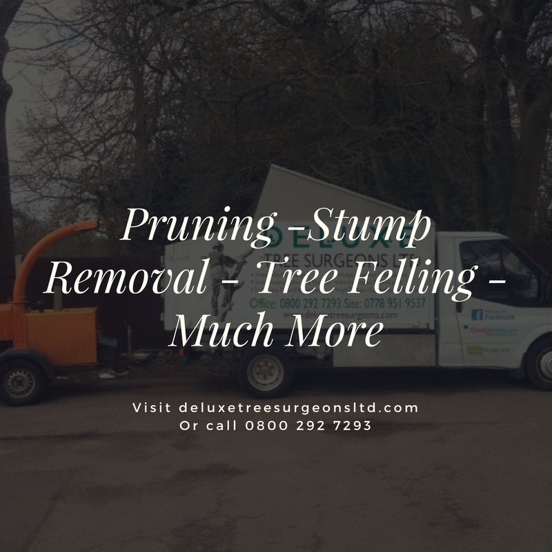 DeluxeTree's tweet image. Whatever your needs, Deluxe Tree Surgeons Ltd are fully qualified in all aspects of arboriculture. Visit deluxetreesurgeonsltd.com! #northeast