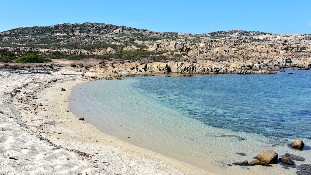 AgneBea71's tweet photo. #Sardegna #isola #Paradise #mare #beach #Italia https://t.co/qieFTORRSA