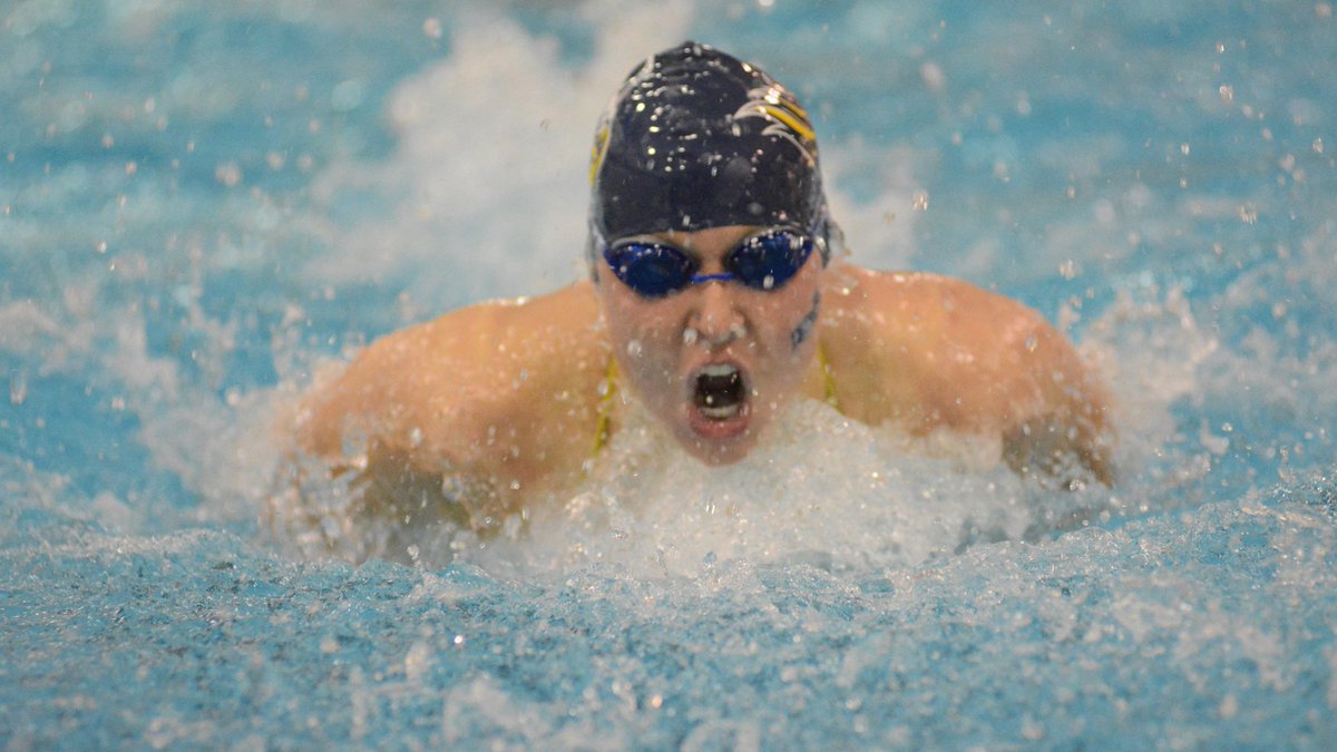 GoAugie's tweet photo. .@AugieSwim Returns to the Elmen Saturday, Hosts MSU Moorhead | https://t.co/LgmTPuUBwZ | #WeAreAU https://t.co/fAUkaRou9q