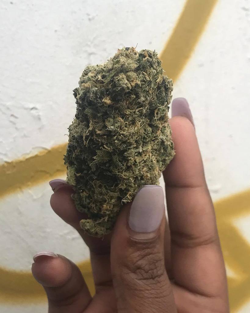 PeaceAndLoveTO's tweet photo. #Cheesus has pungent skunky aroma with a scent of vanilla dairy, and a taste of sweet earthy lavender that intensi… https://t.co/uMDr3LQIvi https://t.co/5mGv94jVdx