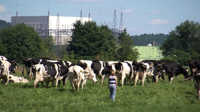 'Power Struggle' Documentary Chronicles Efforts To Close Vermont Yankee Nuclear Plant dlvr.it/PxmC0d https://t.co/OcDPz7Zyqz