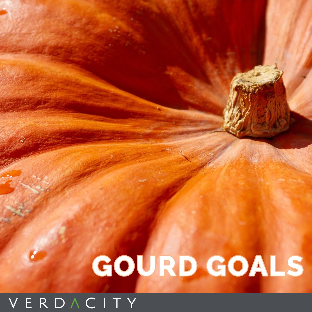 VerdacityLLC tweet picture