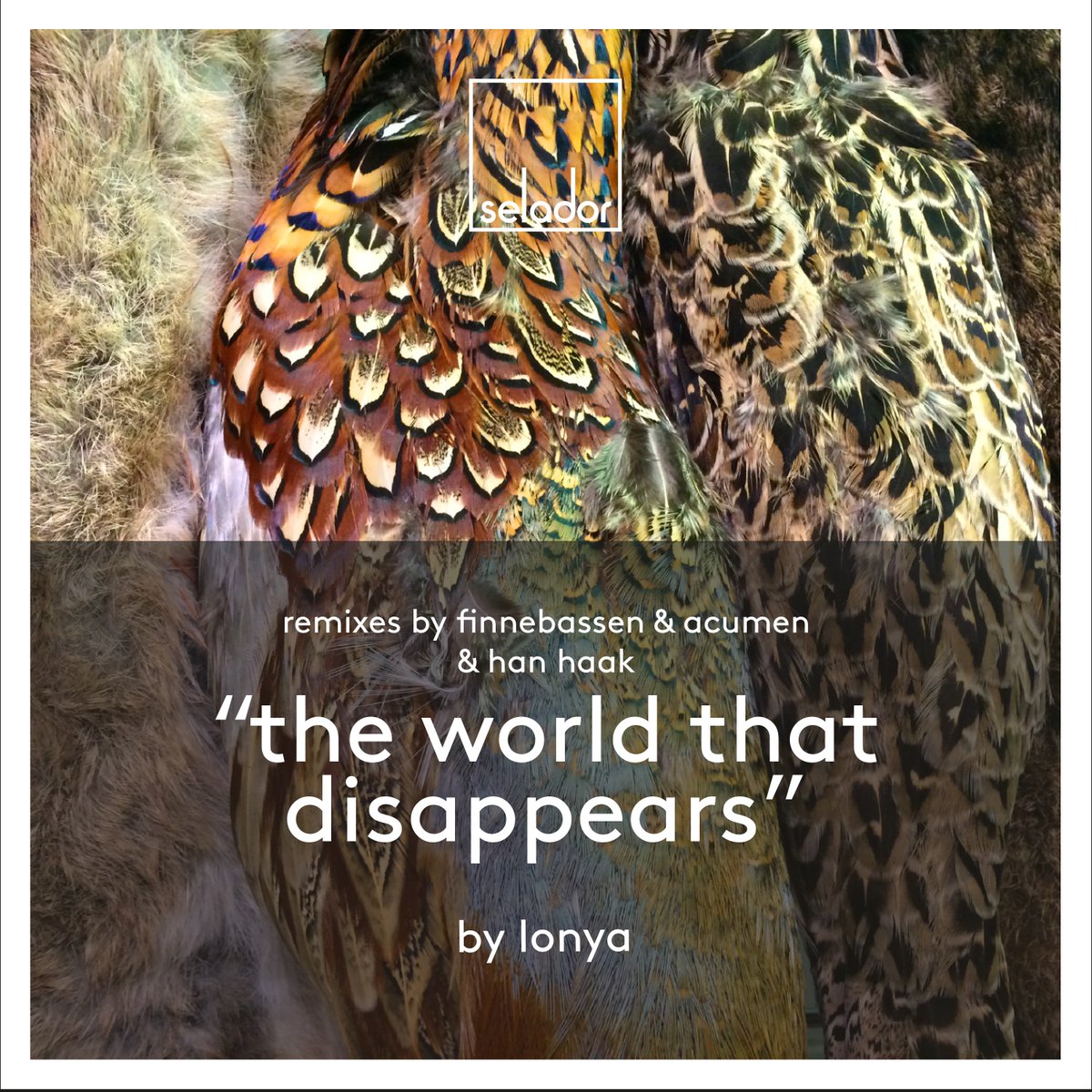 HanHaak's tweet photo. OUT NOW! my #remix of The World That Disappears by @LonyaKoval on @SeladorRecs https://t.co/dNY3svs4U5 #checkitout https://t.co/4Bd3UAHCE4
