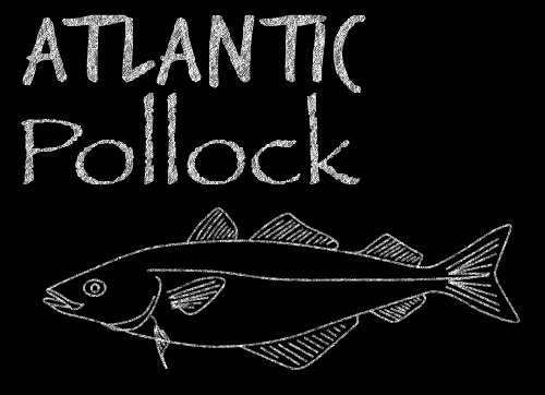 EDFOceans's tweet photo. Atlantic Pollock's recovery is a major success, and customers are recognizing its robust flavor. #EatTheseFish https://t.co/aoAeEzZIAk https://t.co/wqKlMsoZWT