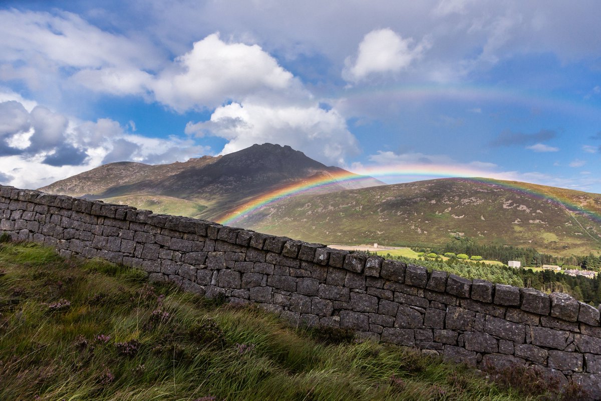 Mournelive's tweet photo. Please spare a few minutes if you can for a look at our  annual report https://t.co/IS5SRUeS6D Info &amp; pics of our work in Caring for #Mourne https://t.co/7yEVSzHMLS