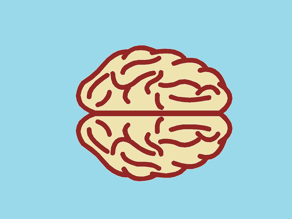 UBC_LDDI's tweet photo. Increase your #MentalHealth literacy with this online course for educators. | Launching October 31st! @StanKutcher https://t.co/z9qsYAwPpi https://t.co/WdML1zz5IB