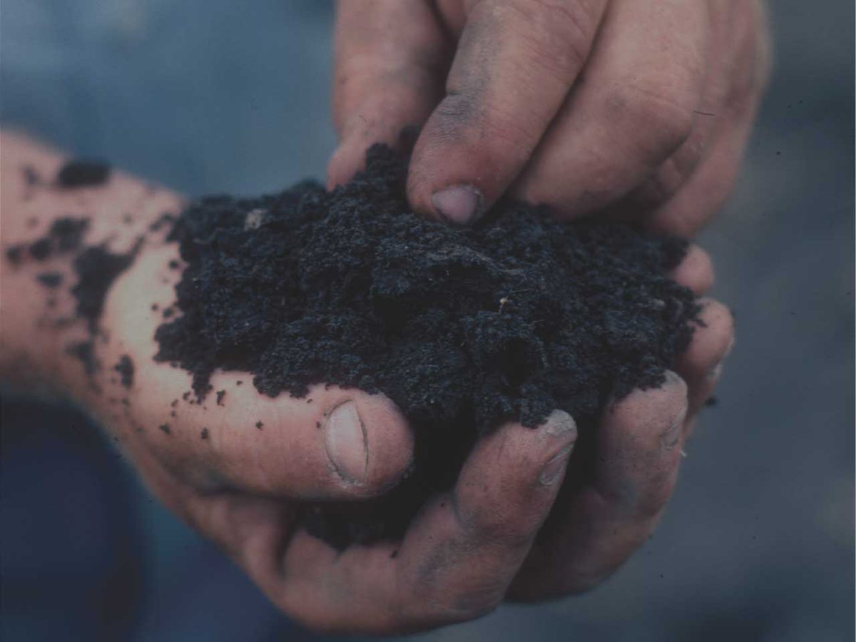Growcentia's tweet photo. The @USDA_NIFA Small Business Innovation Research Program (SBIR) just awarded @Growcentia with grant money! More: https://t.co/mrc3E3MCI6 https://t.co/QLmibSQ1H5