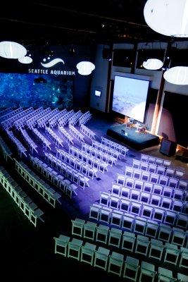 StuMunsch's tweet image. Lightning talks @SeattleAquarium. I'll discuss @WaterfrontSEA &amp;amp; @UW_CoEnv fixing downtown Seattle's salmon nursery seattleaquarium.org/lightning-talks