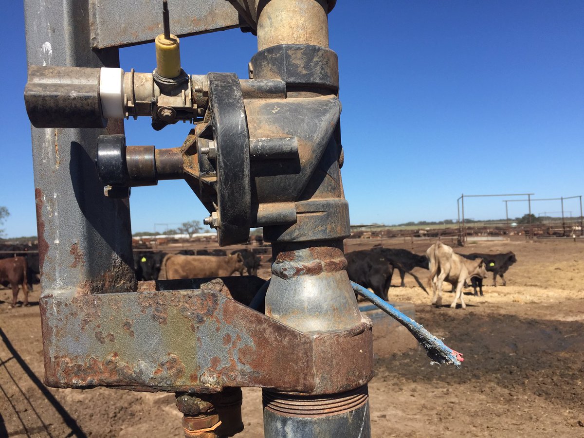 KeelingGolf's tweet photo. Onsite at Texana Feeders troubleshooting @RainBirdGolf #ICSystem. Found the culprit. Boo this Moo for chewing through Maxi! https://t.co/9KqSeU1poB