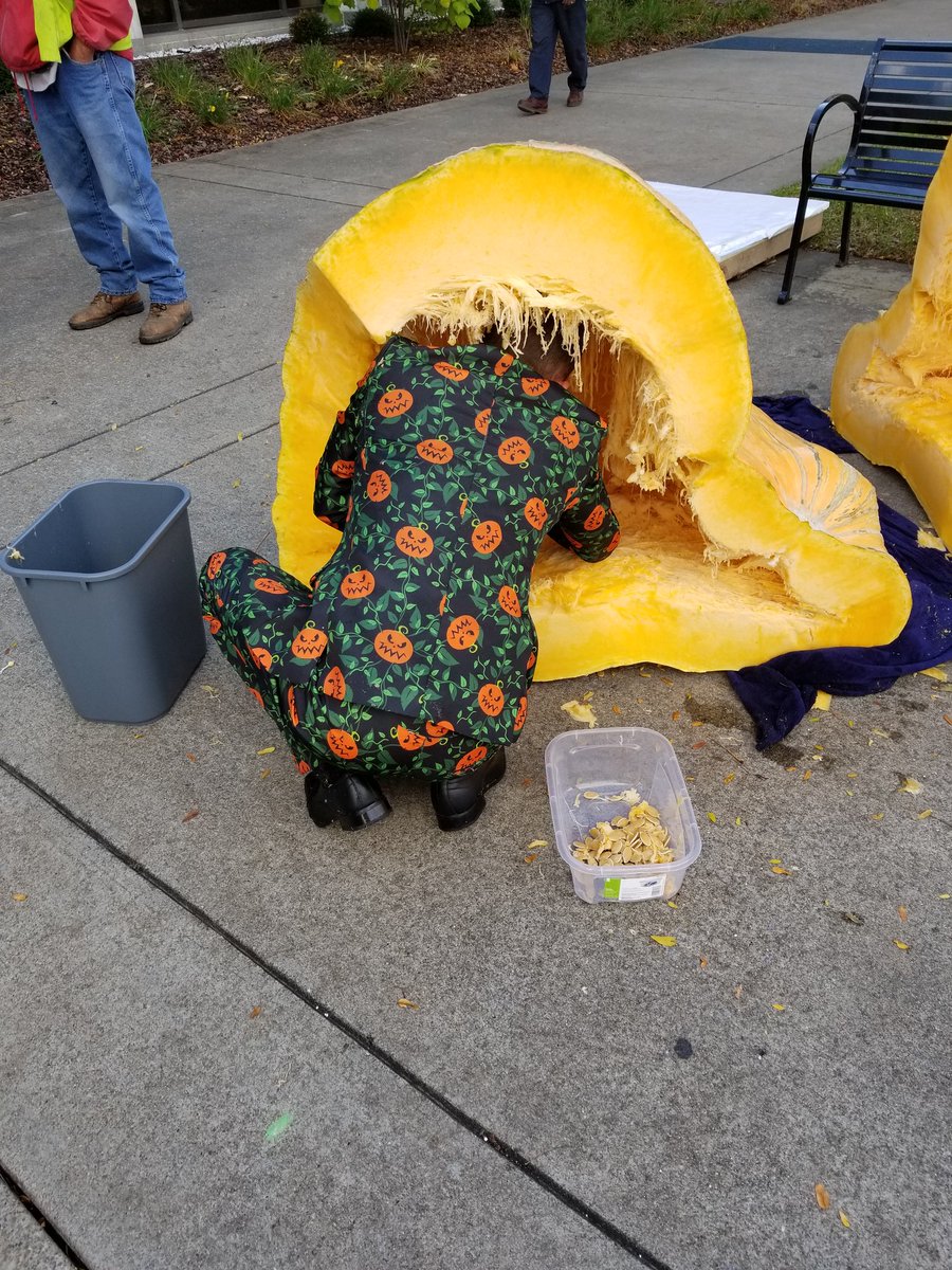 smcave's tweet photo. This is how you carve a pumpkin! #pumpkinsuit #WVU @Mountainlair https://t.co/JJLtkusac5