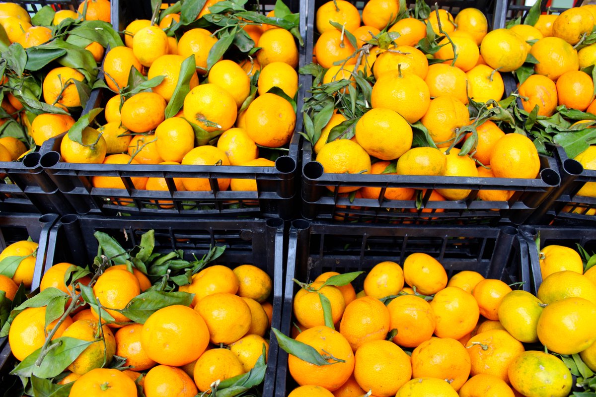 ImmersionTravel's tweet photo. Fellow foodies, we found your next dream destination: the markets of Sicily! https://t.co/zU6AaYjpjc https://t.co/uaPoHTlyTi