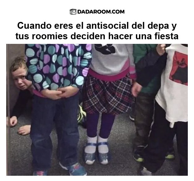 Todos tenemos un amigo antisocial.