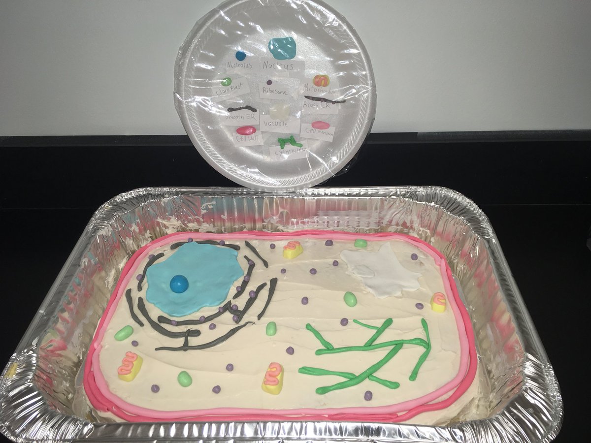 contresbiology's tweet photo. One of our awesome cell projects #cellcake https://t.co/FOZOxDdMsg