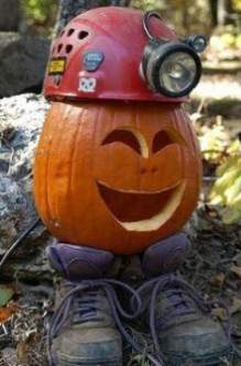 FSI_HQ's tweet photo. Our focus on work footwear helps keep our newest employee's feet safe and comfortable! #NationalPumpkinDay #weonlydowork https://t.co/TFIoYzA98v