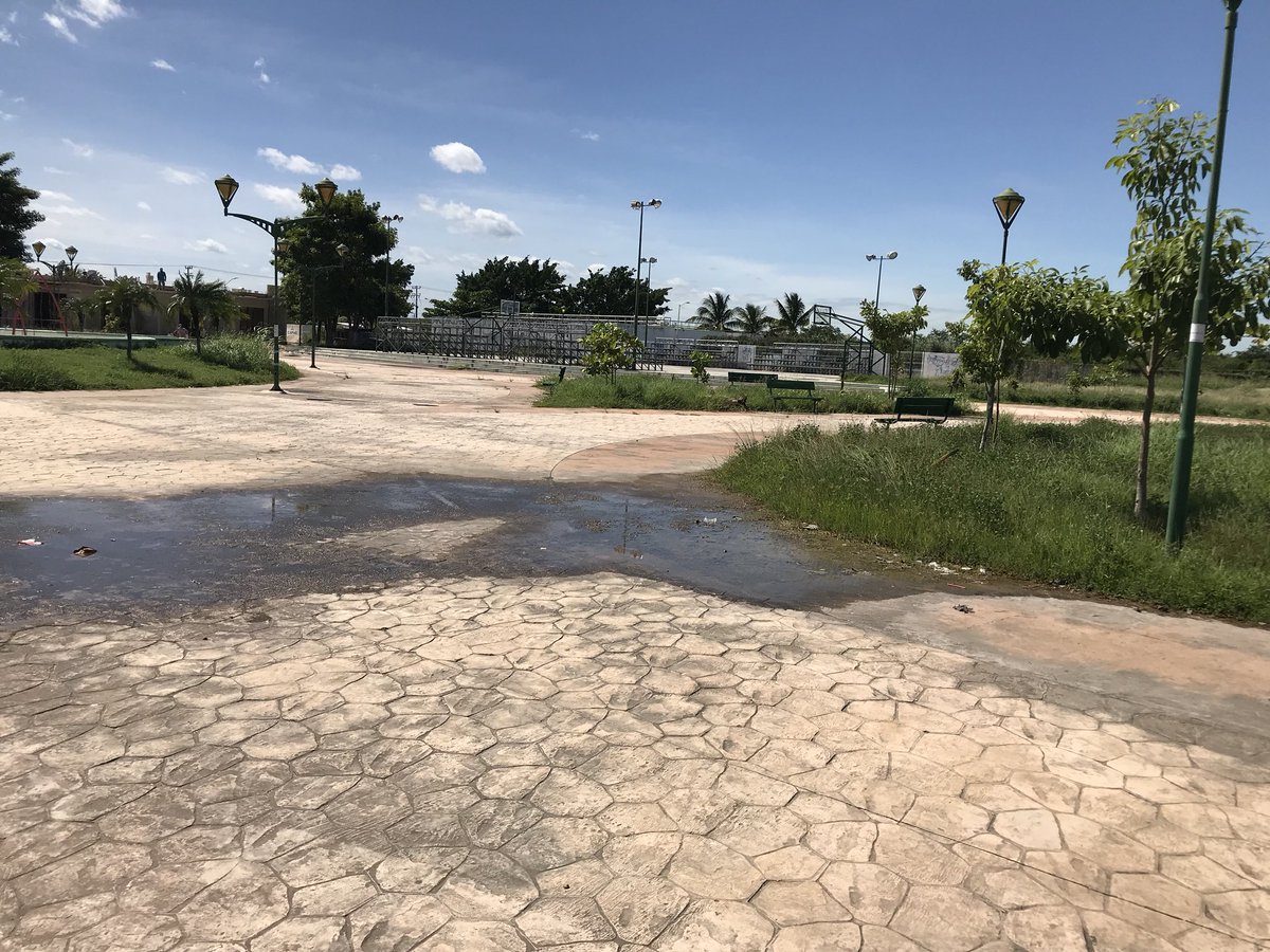 fabiobar10's tweet photo. Siglo XXI lleno de baches, basura y de monte @Edgarr_Hdez @AyuntCampeche @alitomorenoc @alumbrado_cam https://t.co/YUpgLpKTWH