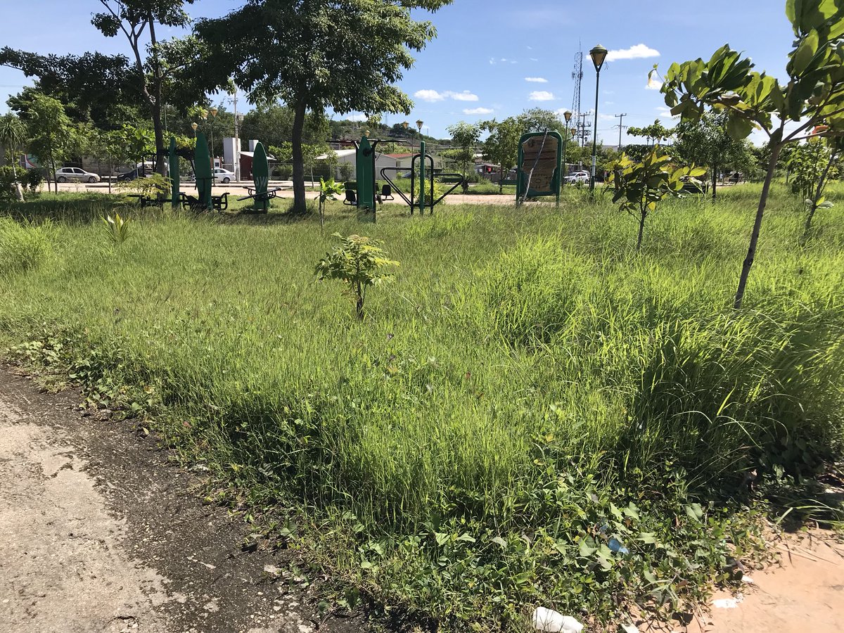 fabiobar10's tweet photo. Siglo XXI lleno de baches, basura y de monte @Edgarr_Hdez @AyuntCampeche @alitomorenoc @alumbrado_cam https://t.co/YUpgLpKTWH