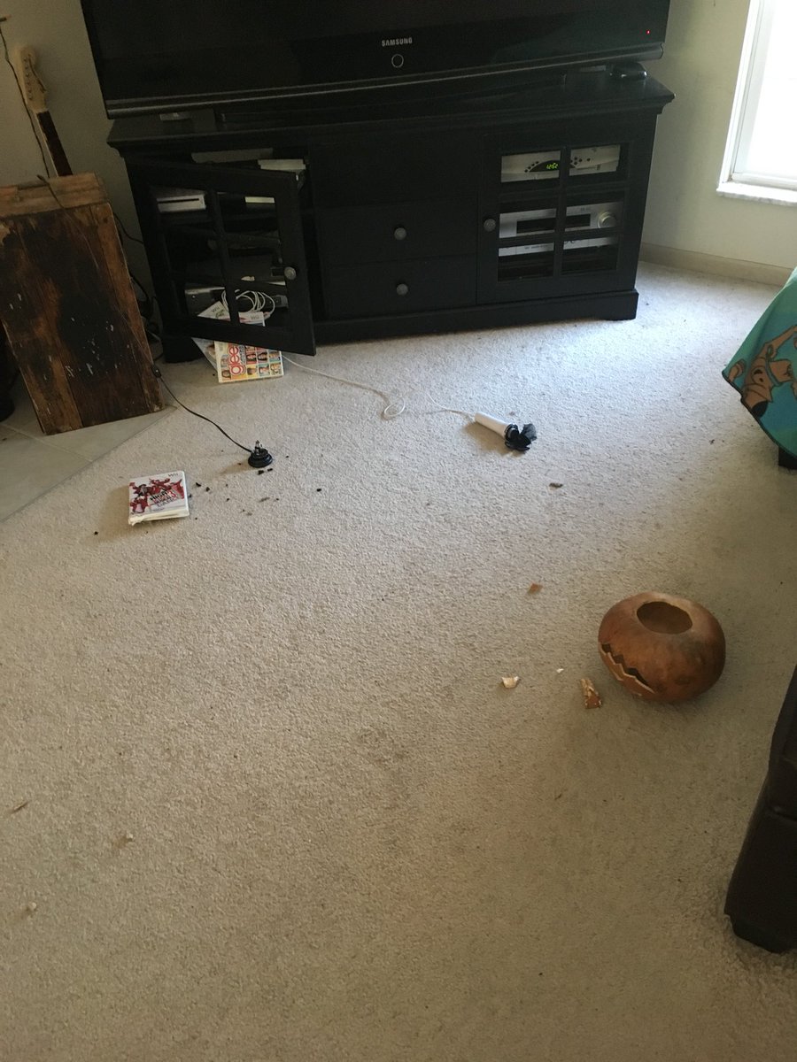 Dogloveschips's tweet photo. Today I realized that there are cabinets under the tv! I never really like the high school musical movies anyways... #busyday https://t.co/Ih1N11TwBm