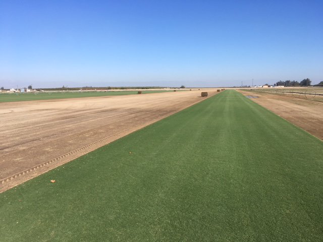 TrebroMfg's tweet photo. A beautiful day at A-G Sod Selma with their new Trebro SC2010 https://t.co/YIm2IYDj2e