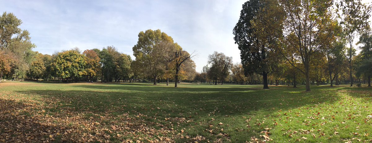 alphafemale28's tweet photo. #autumn #Budapest #winteriscoming #naturebeauty #change #fall #Hungary #europetravel #LifeisBeautiful https://t.co/bjGF5vBAaz