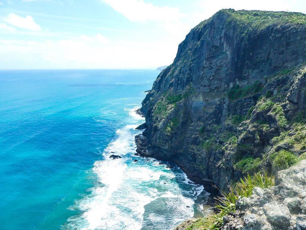 VictoriaVodar's tweet photo. The world is a beautiful place⛰🌊💙 ••••••••••••••••••
#hillarytrail #newzealand #auckland #coastline #views #hikingculture https://t.co/tLHGTP59hB