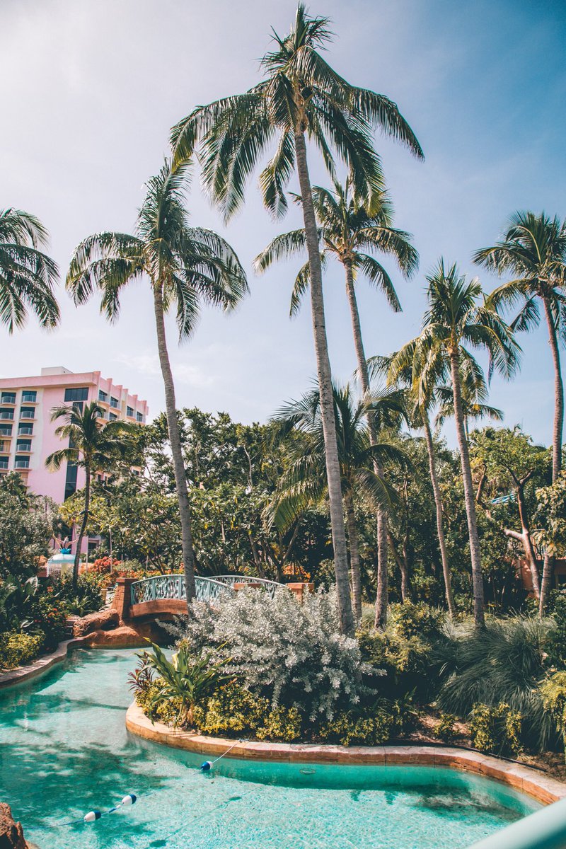 witnessphotos's tweet image. Wouldn't mind going back to the Bahamas 🌴