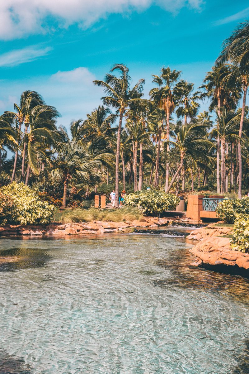 witnessphotos's tweet image. Wouldn't mind going back to the Bahamas 🌴