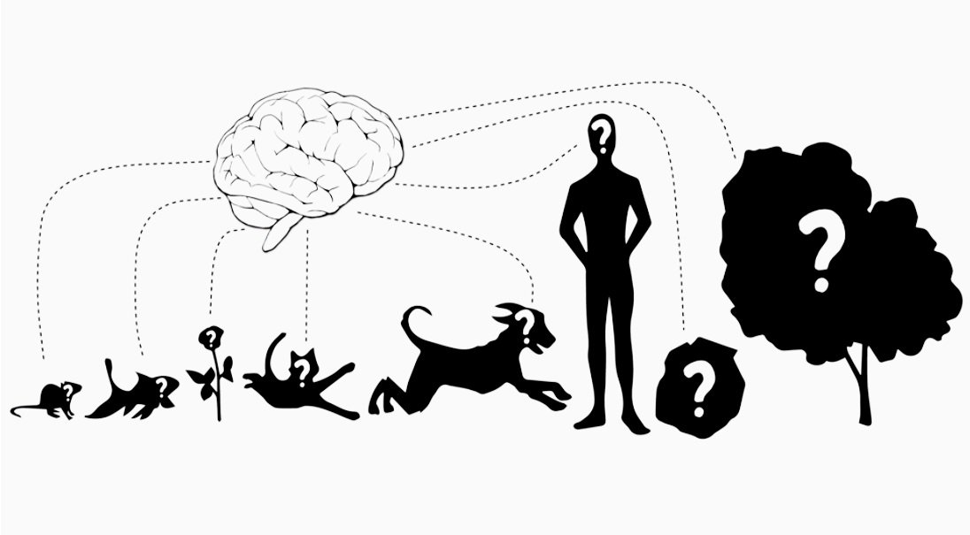 BackyardBrains's tweet photo. What has a brain? Humans, Animals, ... Plants?!? Let's take a closer look... #BYBBlog #Plants #SpikerBox https://t.co/OAECuyMOpo https://t.co/HmdIqgQurV