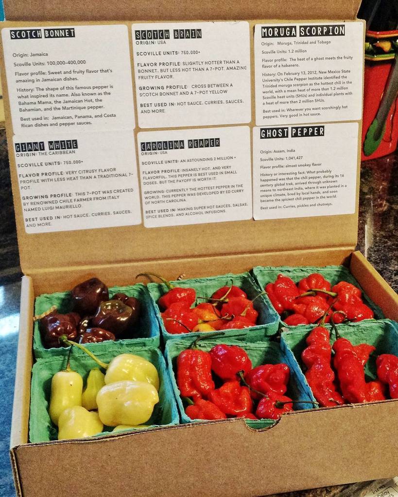 Well this looks dangerous. Maybe #capsimel #mead ? From @homesweethomegrown