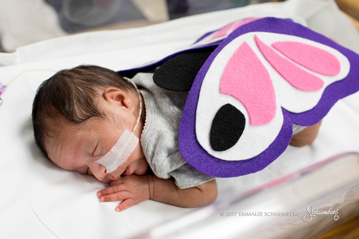 saintlukeskc's tweet image. These little pumpkins steal the show on #NationalPumpkinDay: ow.ly/yL6X30g9llj