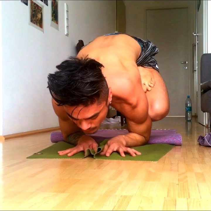 nycyogaclub's tweet photo. #pinchamayurasana & #karandavasana #intermediateseries #secondseries #nadishodhana •
•
•
#jeffreyvillanuevayoga #… https://t.co/LOsZTcTClr https://t.co/SBl1urRl8m