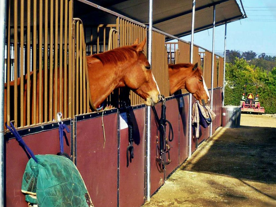 AmericanStalls's tweet photo. Our Classic Show Series are incredible #horsestalls. They simply beat the competition. #barnbuilding #ClassicSHowSeries https://t.co/Add1C9Bnhg
