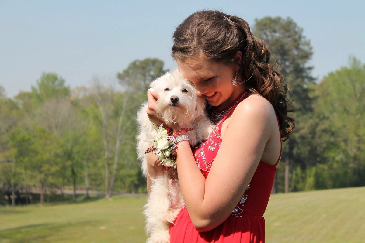 yesterday marked 3 years that I was adopted into the best home. My paws are happy!!