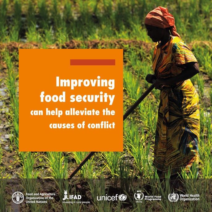 In order to move towards peace, we need greater food security. #ZeroHunger